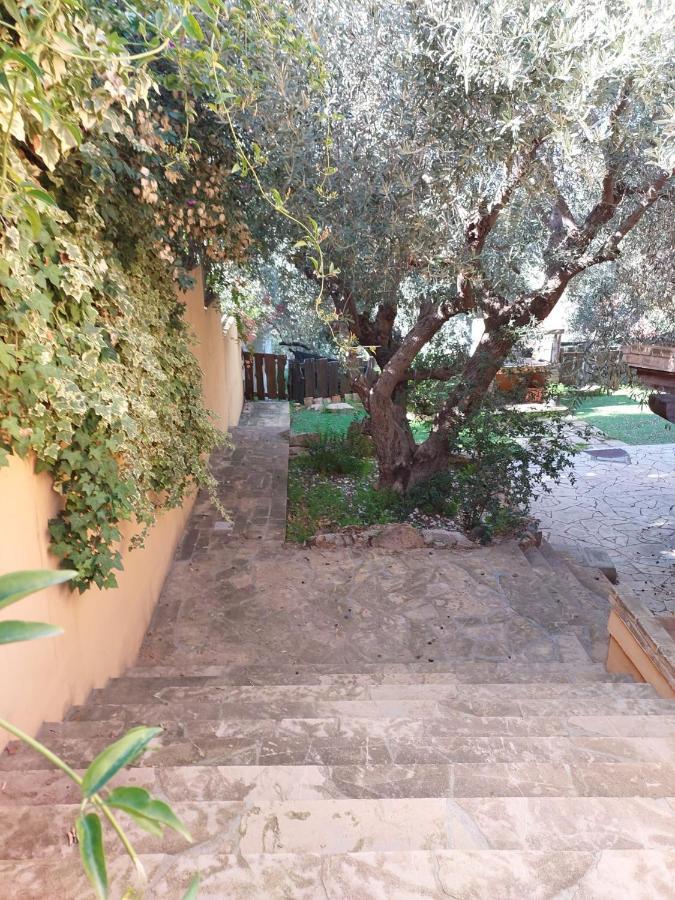 L'Orchidea Villa Капитана Екстериор снимка